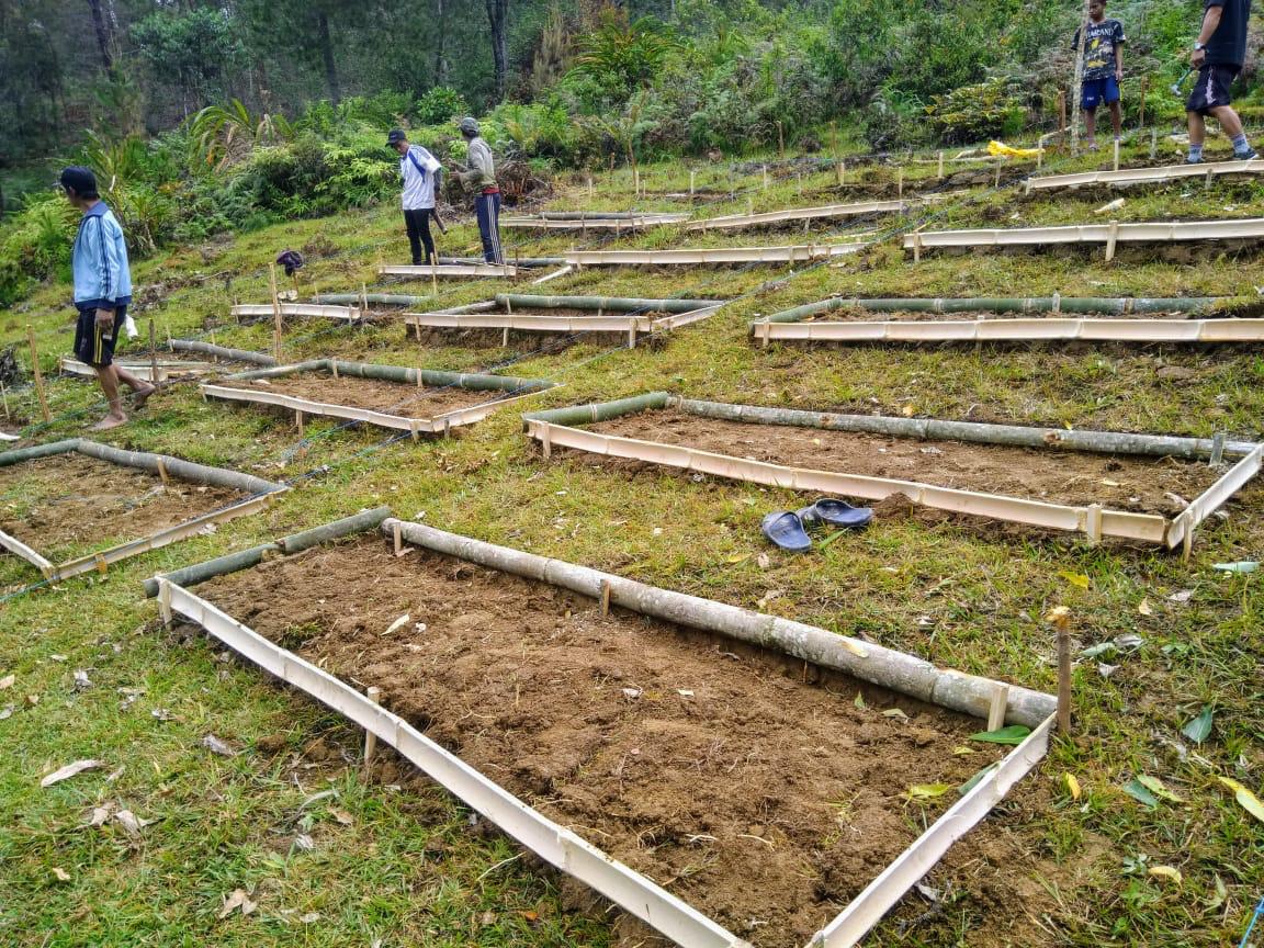 Wide view of multiple nursery bed frames being built