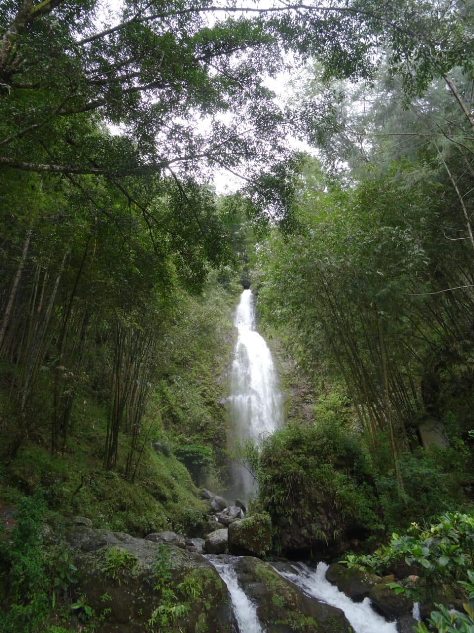 Tall waterfall surrounded by bamboo and lush vegetation in the Toraja highlands