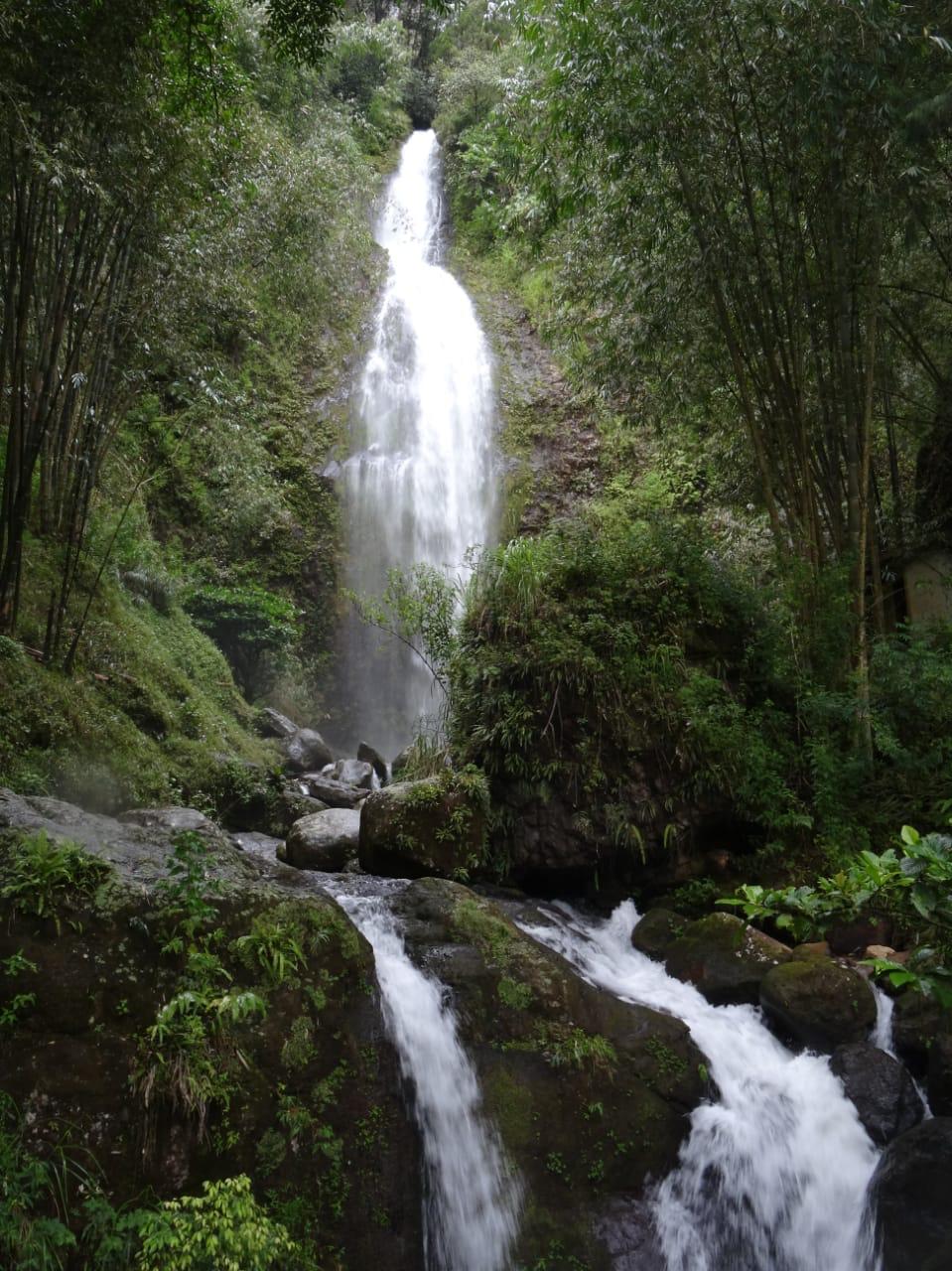 Stunning tall waterfall surrounded by bamboo and lush vegetation in the Toraja region